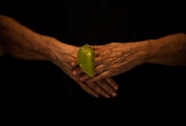 IIP Online Student Photography